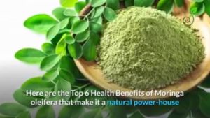 Top Six Health Benefits Of Moringa